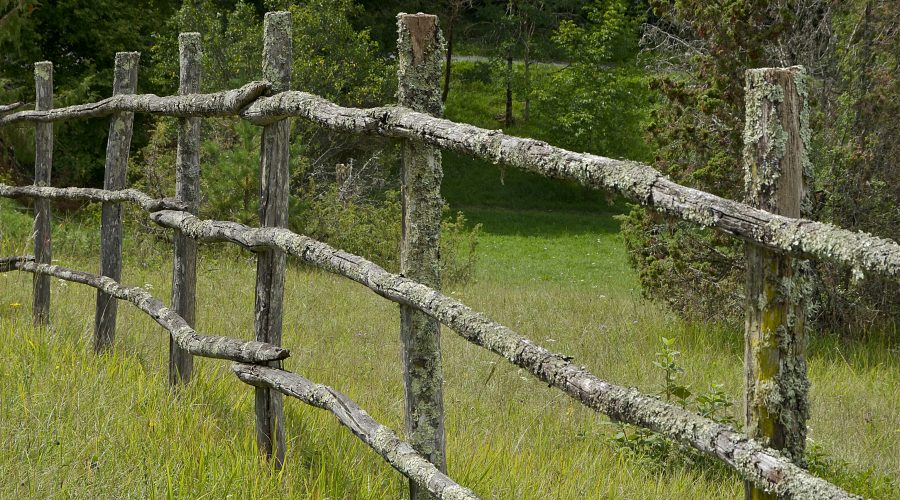 Réparer une clôture en bois endommagée : guide pratique