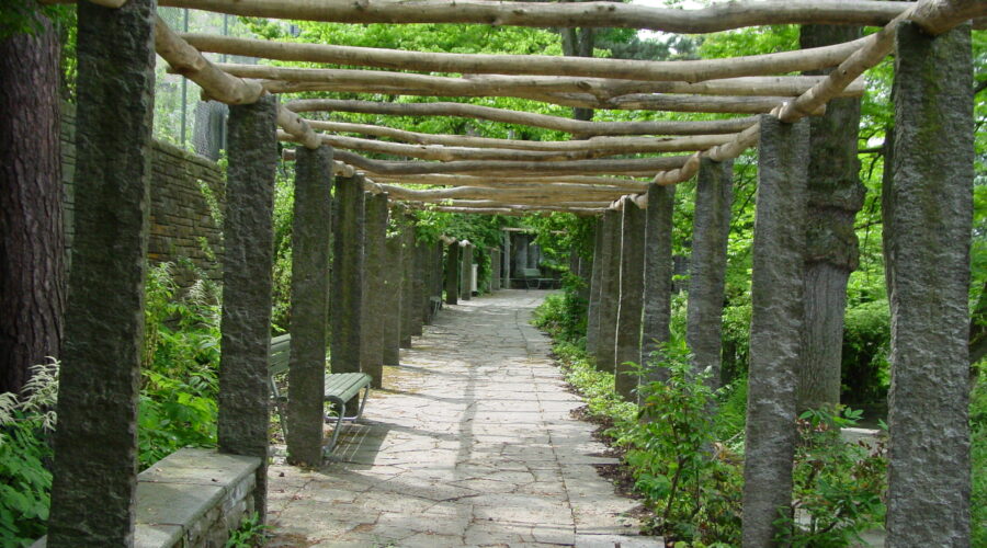 Comment Construire une Pergola pour un Coin Ombragé en Plein Air