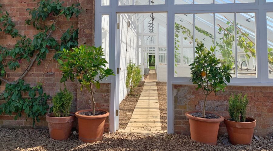 Rénovation de la terrasse : idées et solutions abordables