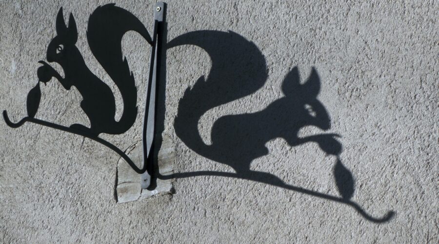 Comment Créer une Bibliothèque Murale Suspendue